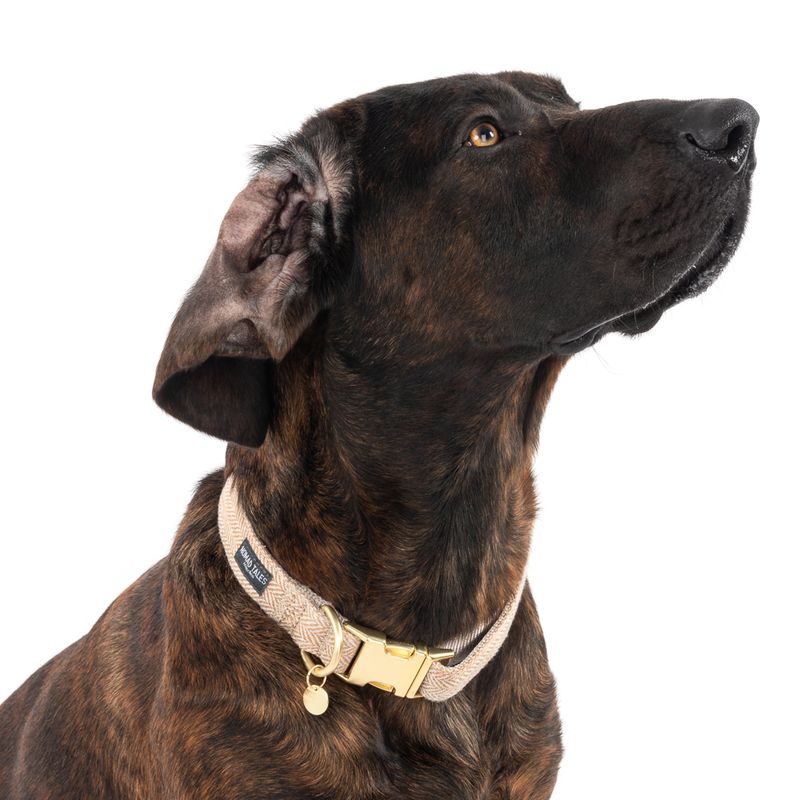 Nomad Tales Calma Collar - Sand || Nomad Tales || view 3