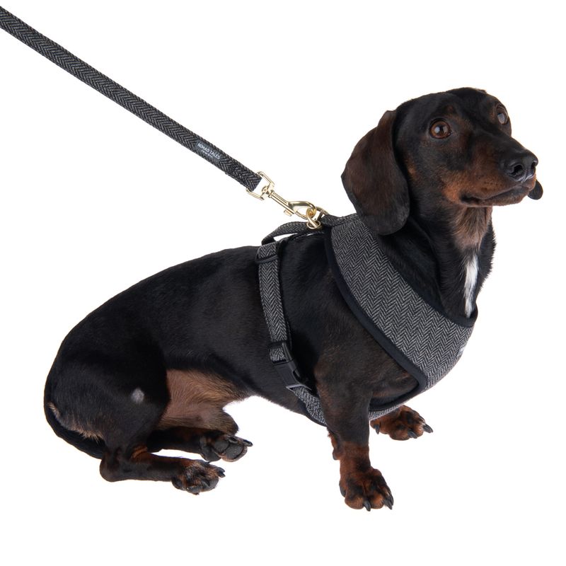 Nomad Tales Calma Dog Leash, ebony || Nomad Tales || view 5