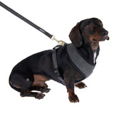 Nomad Tales Calma Dog Leash, ebony || Nomad Tales || view 5