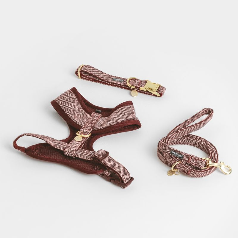 Nomad Tales Calma Harness - Burgundy || Nomad Tales || view 16