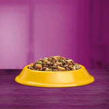 Whiskas Senior 7+ Chicken || undefined || view 12