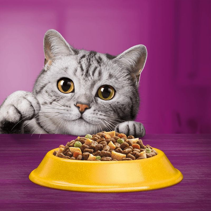 Whiskas 1+ Chicken || undefined || view 5