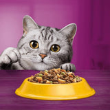 Whiskas 1+ Chicken || undefined || view 5