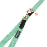 Green dog lead with gold-coloured snap hook, brown leather details and Nomad Tales label.
