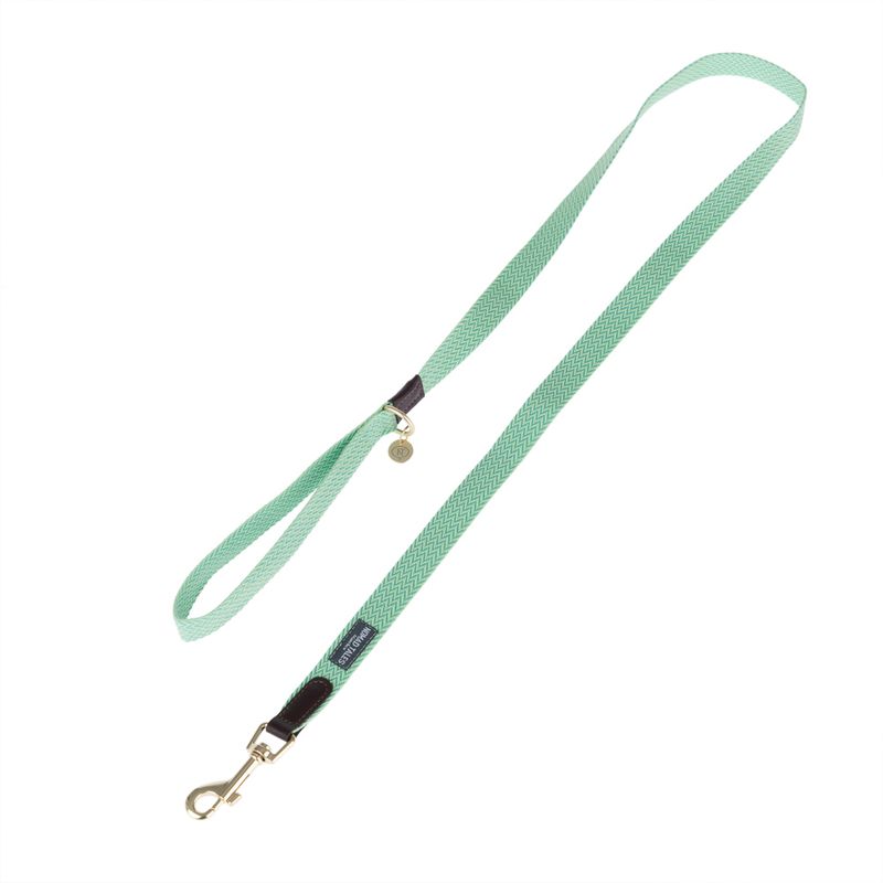 Green dog lead with gold-coloured snap hook and brown leather accents, brand label visible.