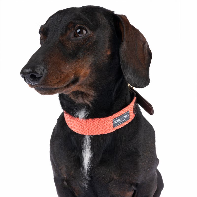 Nomad Tales Bloom Collar - Coral || Nomad Tales || view 4