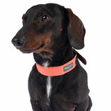 Nomad Tales Bloom Collar - Coral || Nomad Tales || view 4