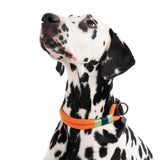Nomad Tales Spirit Collar - Tangerine || Nomad Tales || view 6