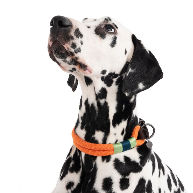 Nomad Tales Spirit Collar - Tangerine || Nomad Tales || view 6