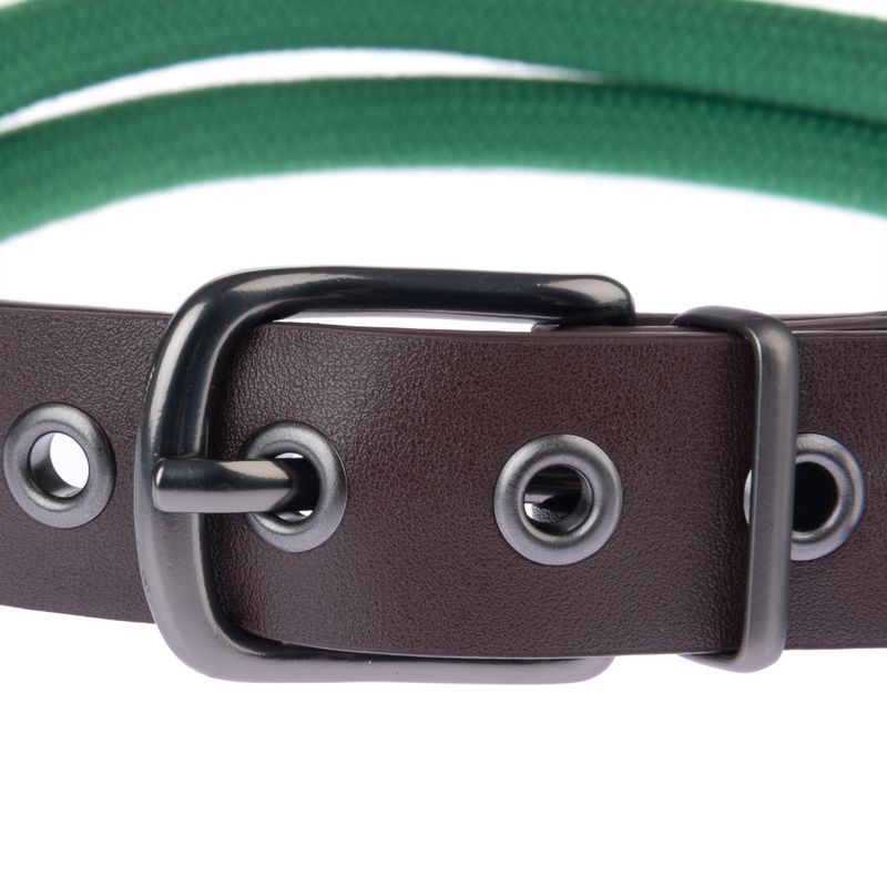 Close-up of a brown leather dog collar with metal eyelets and buckle, green lead in the background.