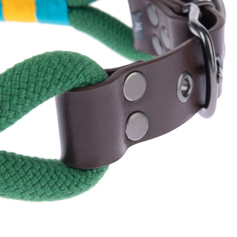 Close-up of a dog collar with green rope material, brown leather and silver metal studs.