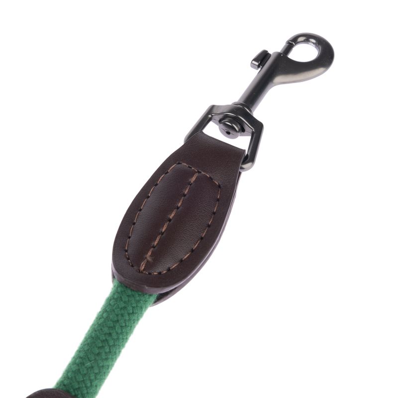 Close-up view of a dog lead with green fabric strap, brown leather reinforcement and black metal snap hook.