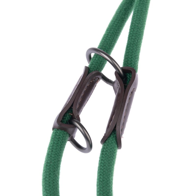Green dog lead with brown leather details and metal rings, close-up of connecting elements.