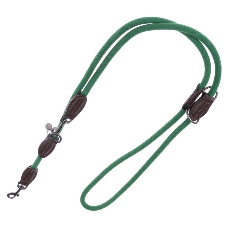 Green fabric dog lead with brown leather details and metal carabiners.