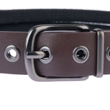 Close-up of a brown dog collar with metal buckle and eyelets.