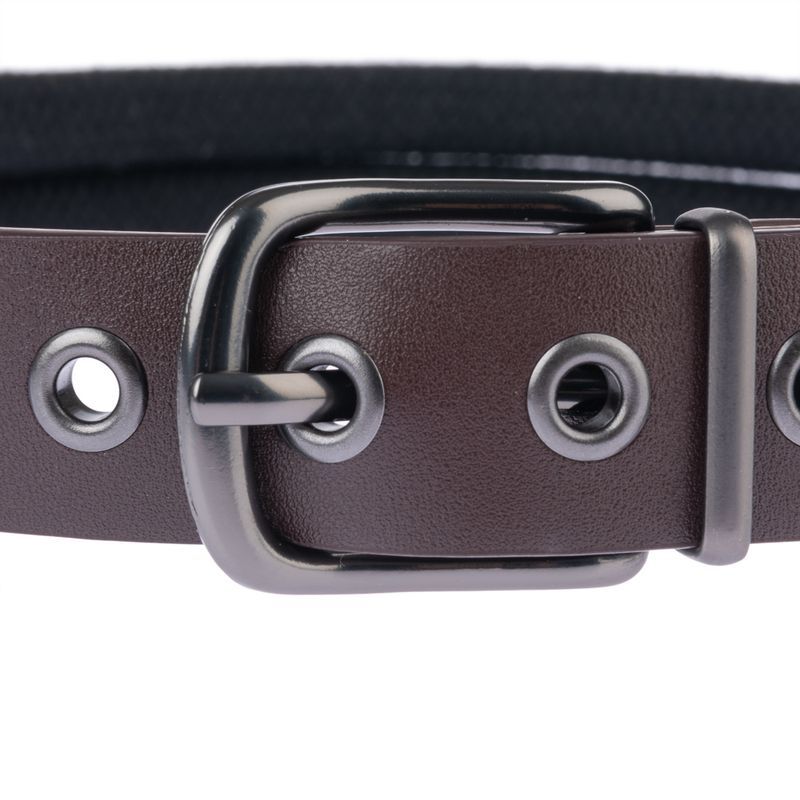 Close-up of a brown dog collar with metal buckle and eyelets.