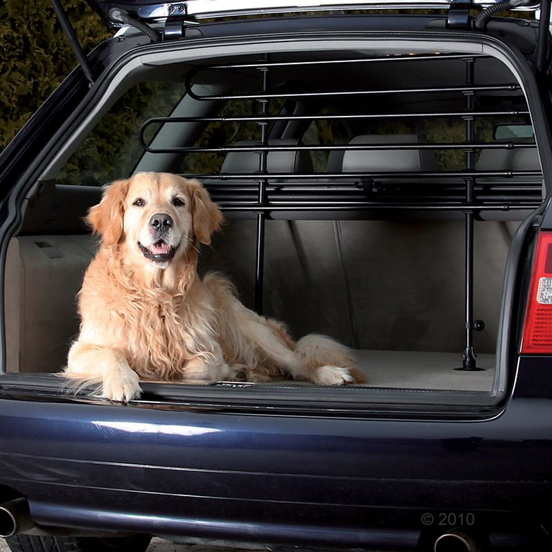 Car rear area with mounted metal partition grille for safe transport of pets. Boot open, partition grille visible.