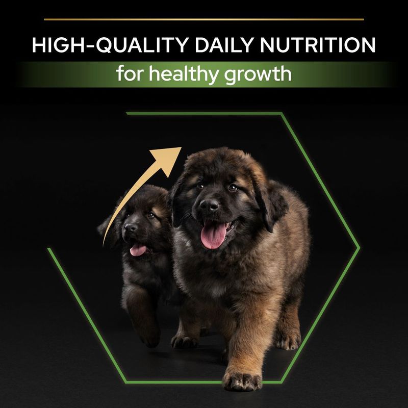 PURINA PRO PLAN Large Robust Puppy Healthy Start || undefined || view 4