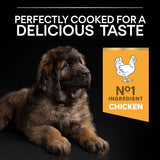 PURINA PRO PLAN Large Robust Puppy Healthy Start || undefined || view 6