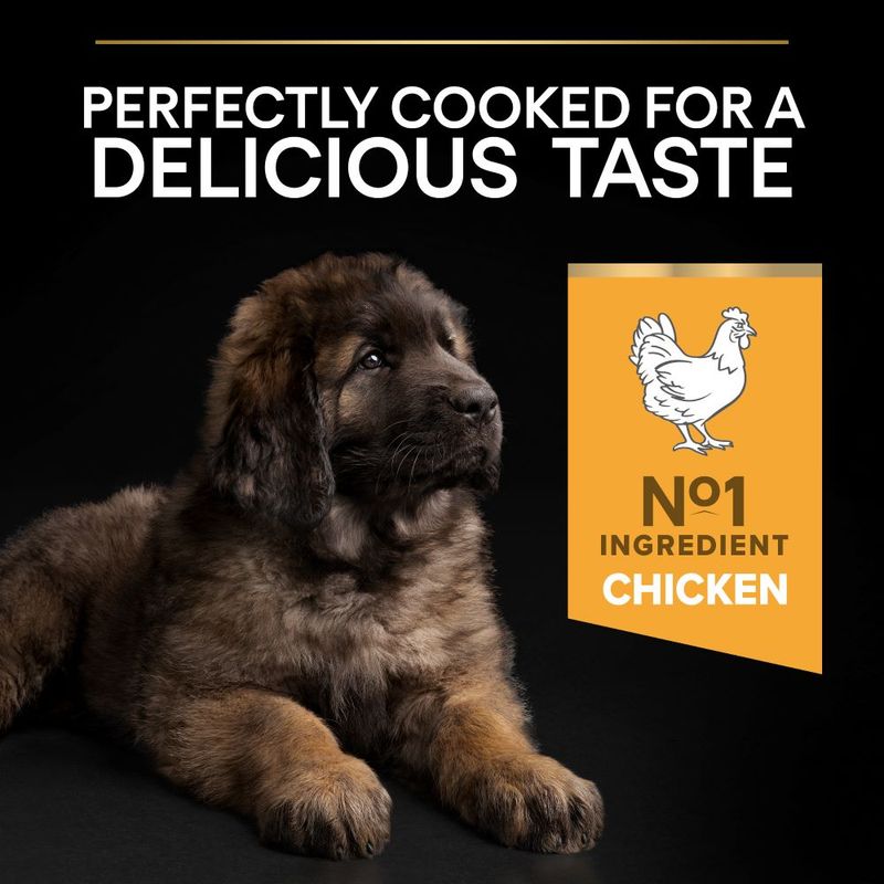 PURINA PRO PLAN Large Robust Puppy Healthy Start || undefined || view 6