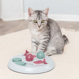 Grey cat next to an interactive toy with coloured elements and the inscription 'Cat Activity'.
