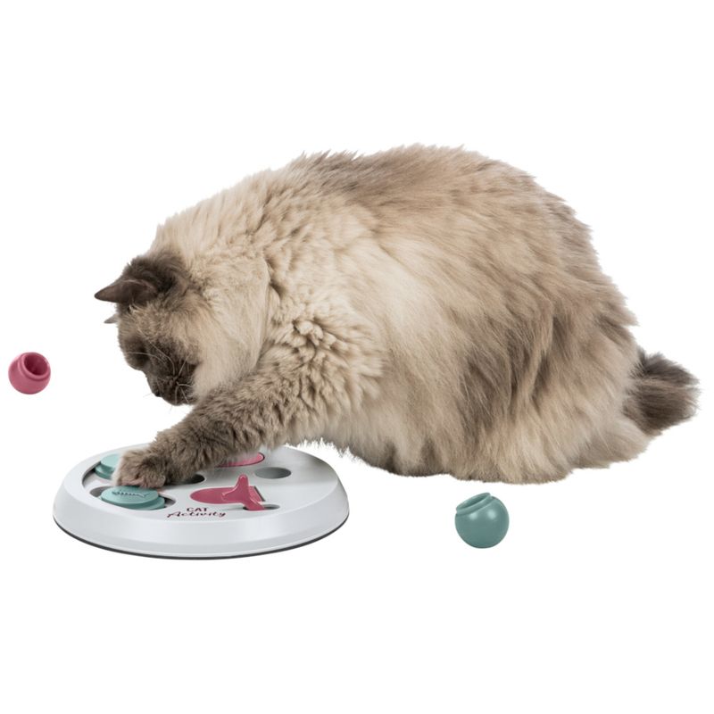 Long-haired cat playing with a white interactive toy called Cat Activity, featuring pink and green elements.