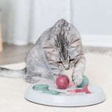 Grey cat playing with a white intelligence toy featuring pink and green elements. The toy is labelled 'Cat Activity'.