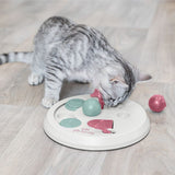 Grey cat playing with a white intelligence toy for cats labelled 'Cat Activity', with pink and green elements.