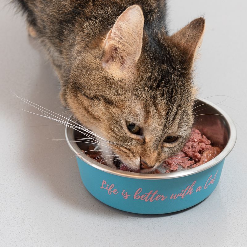 Cat eating from a blue bowl with the inscription 'Life is better with a Cat'.