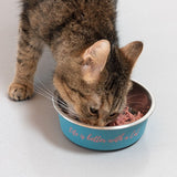 Brown tabby cat eating from a blue food bowl with the inscription 'Life is better with a Cat'.