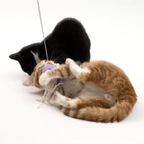 Two cats playing with a purple toy on a string. A black cat and an orange-white cat are visible.