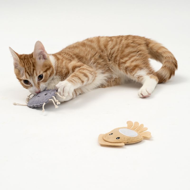 Red tomcat playing with a grey fabric toy shaped like an insect, next to a yellow fabric toy shaped like a fish.