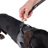 Hand attaches a grey dog lead with metal clip to a matching harness. The 'FGY' logo is visible on the lead.