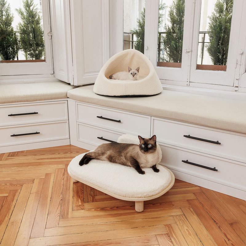 Two cats on modern white furniture: one in a cosy cave bed, the other on a padded lounger. Both pieces with soft padding.
