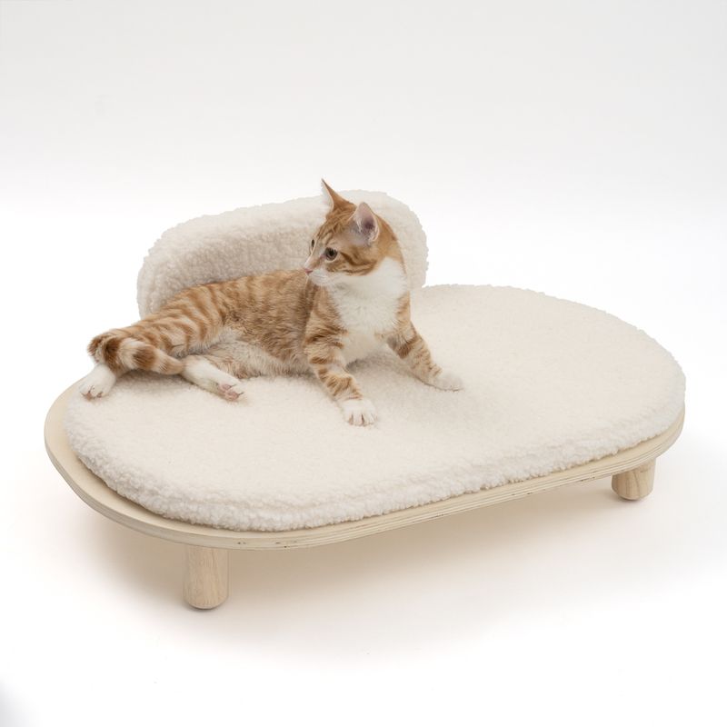 Cat bed with wooden frame and soft white padding. Red tomcat lying relaxed on it.