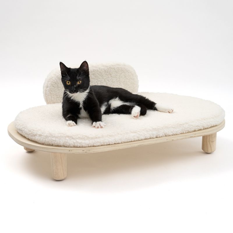Black cat lying on a white, padded pet bed with wooden legs and backrest.