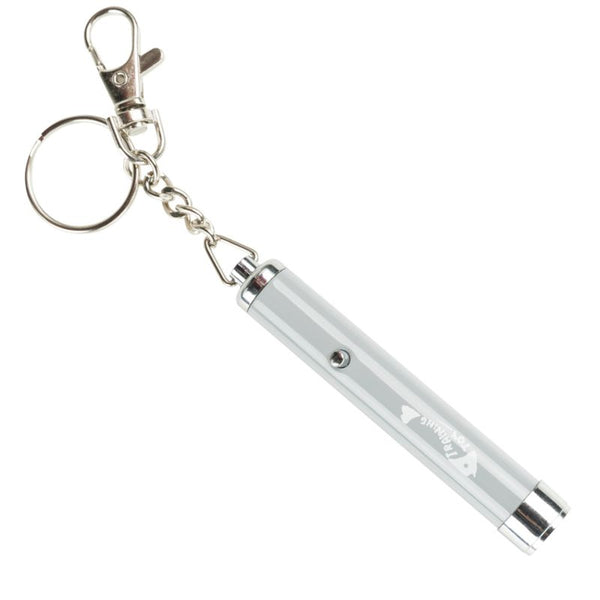 Silver laser pointer with keyring and 'Training Toy' print.