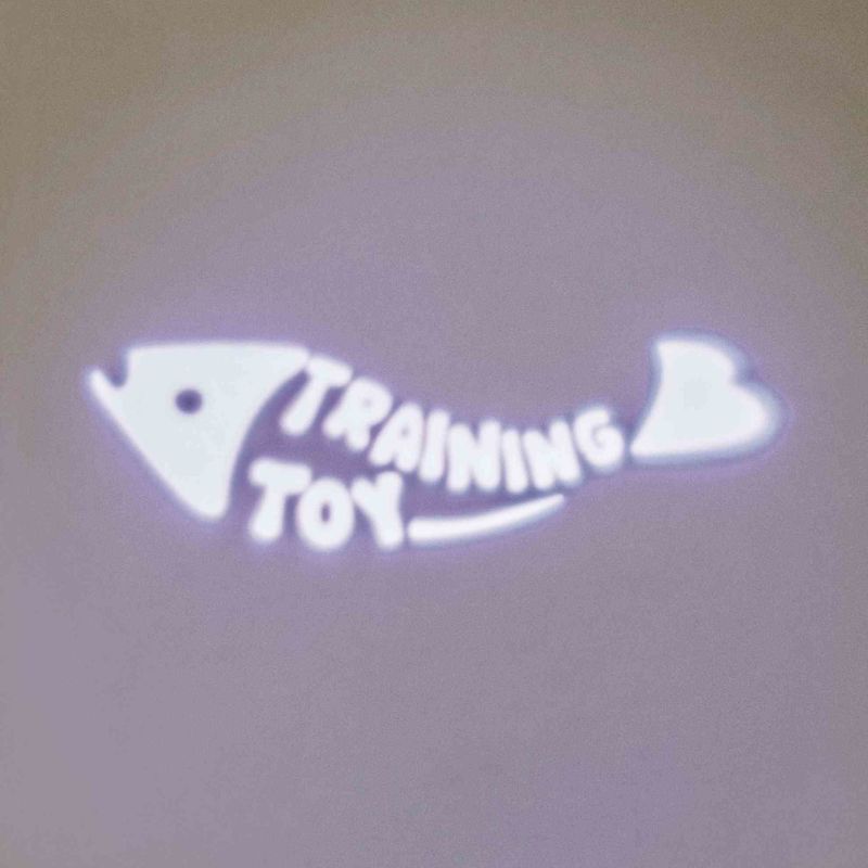 Training toy with fish-shaped lettering and heart symbol.