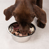 Brown dog eating wet food from a silver bowl.