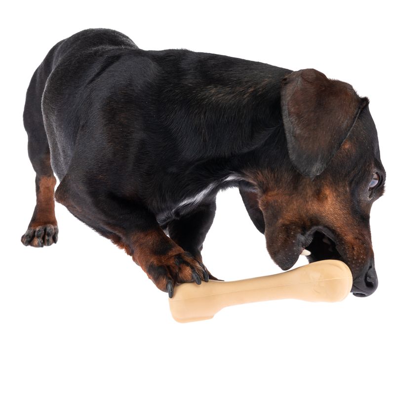 TIAKI Rubber Bone Dog Toy || TIAKI || view 3
