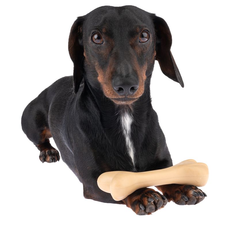 TIAKI Rubber Bone Dog Toy || TIAKI || view 5