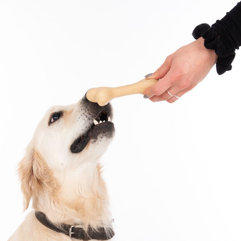 TIAKI Rubber Bone Dog Toy || TIAKI || view 8