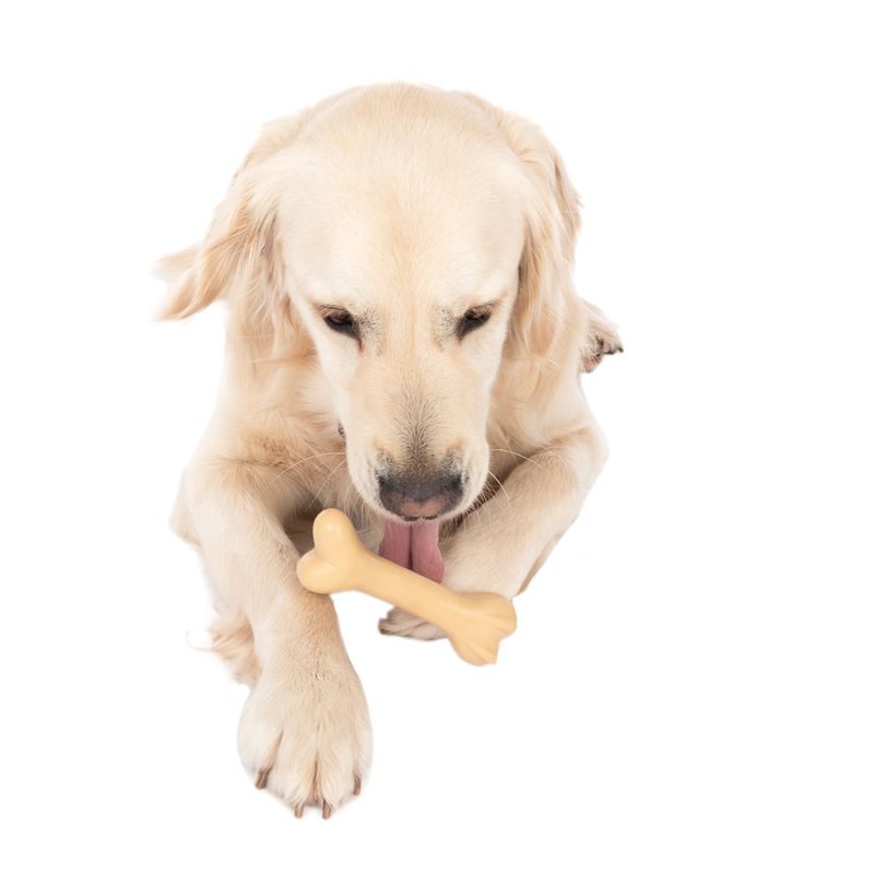 TIAKI Rubber Bone Dog Toy || TIAKI || view 4