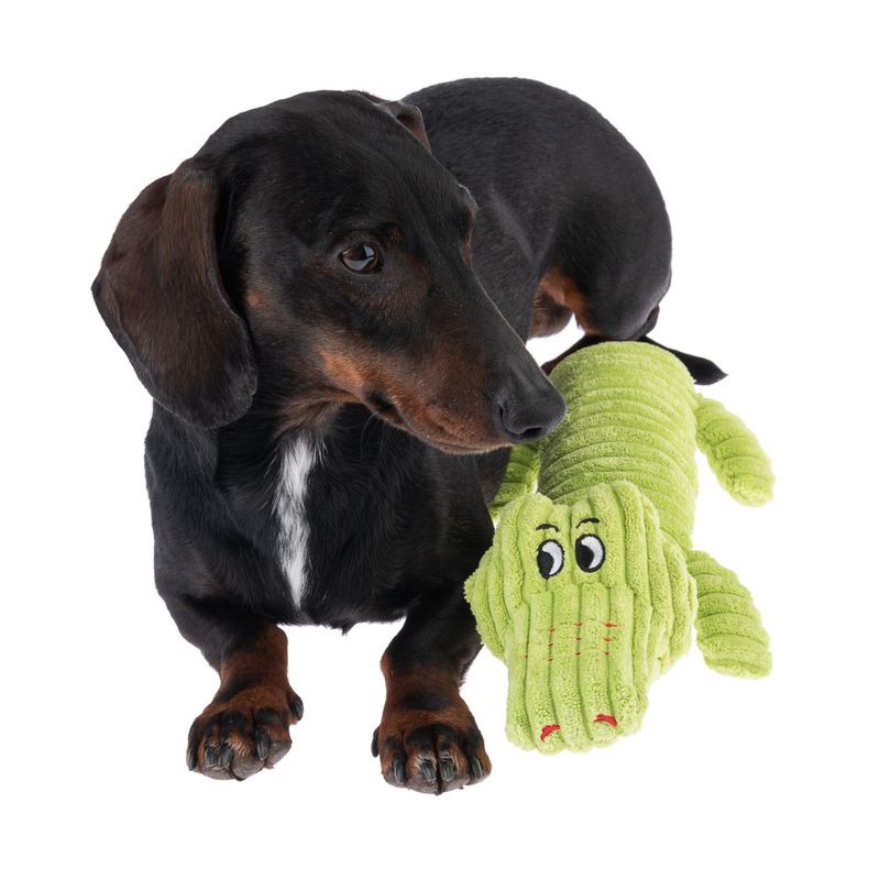 TIAKI Jack Squeaker Dog Toy || TIAKI || view 9