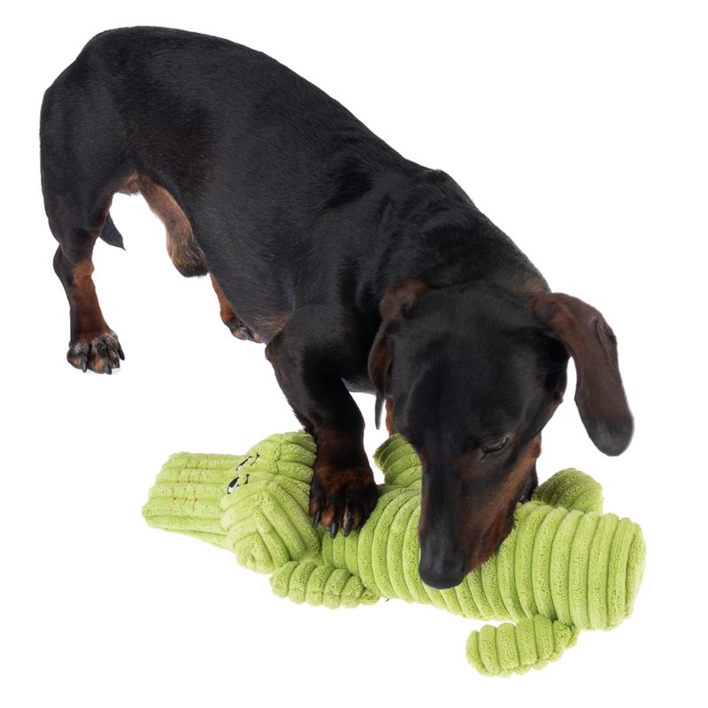 TIAKI Jack Squeaker Dog Toy || TIAKI || view 3