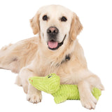 TIAKI Jack Squeaker Dog Toy || TIAKI || view 5