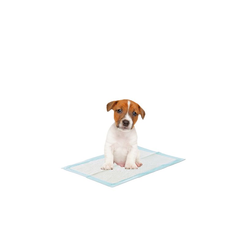 Savic Puppy Trainer Starter Set || savic || view 10