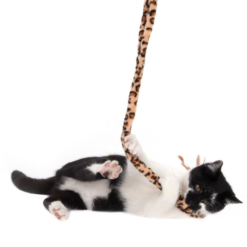 Black and white cat playing with a leopard print wand toy.