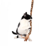 Black and white cat playing with a leopard print toy wand with feather attachment.