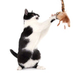 Black and white cat playing with a toy featuring feathers and a leopard pattern.